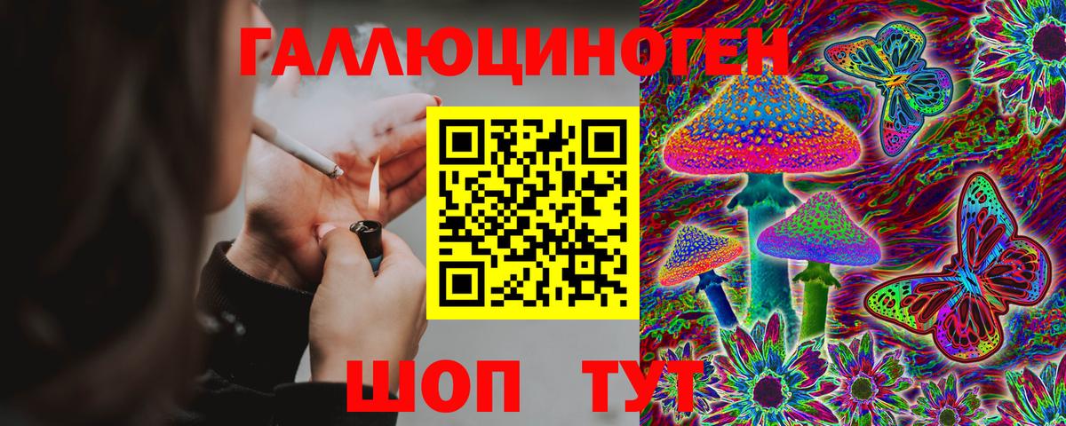 купить наркотики сайты  Галлюциногенные грибы Psilocybe  Вход с VPN  Советский 