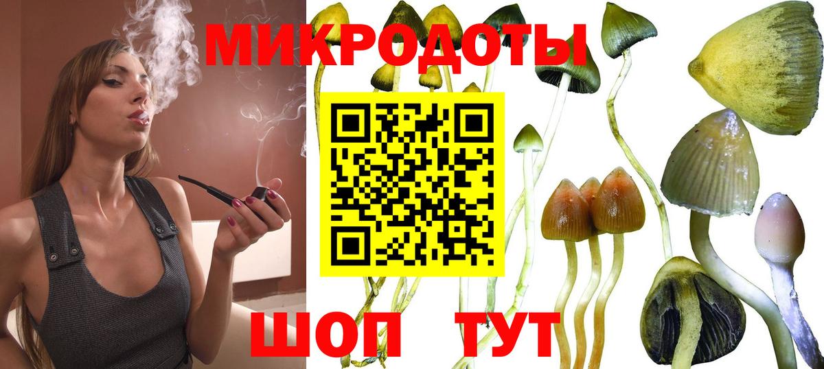 Галлюциногенные грибы Cubensis Советский